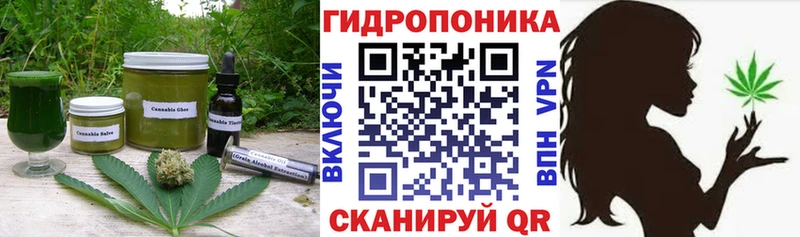 блэк спрут вход Асино Cannafood марихуана