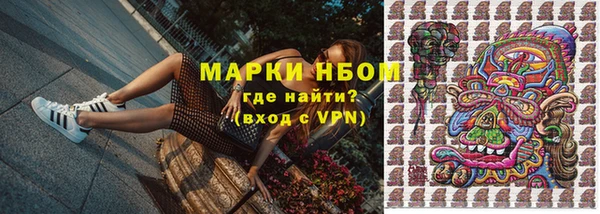 эйфоретик Аркадак