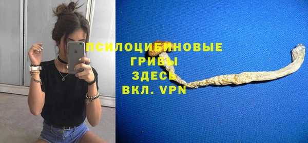 a pvp Арсеньев