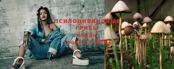 эйфоретик Аркадак