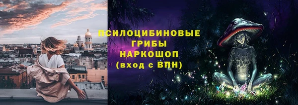 прущие крисы Няндома