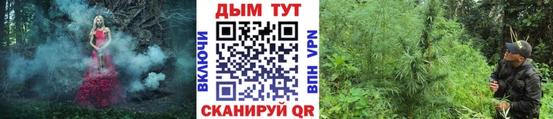 Канабис THC 21% где купить наркотик Асино